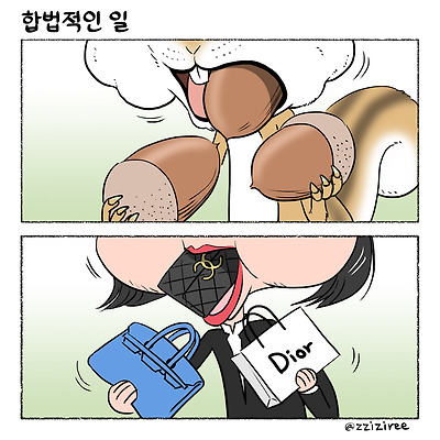 합법적인 일