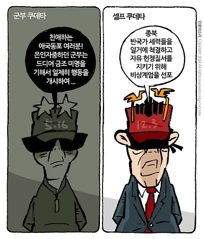 셀프 쿠데타