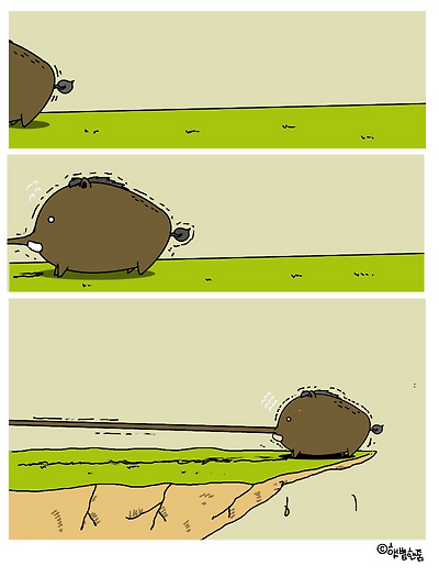 피오키오 멧돼지