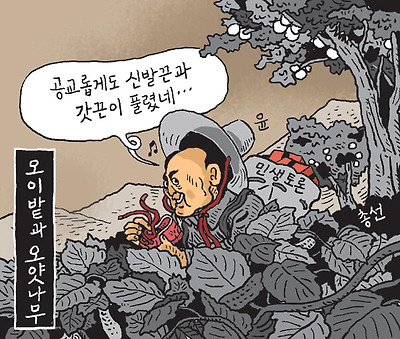 오이밭과 오얏나무