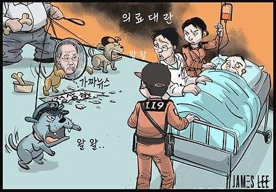 의료대란