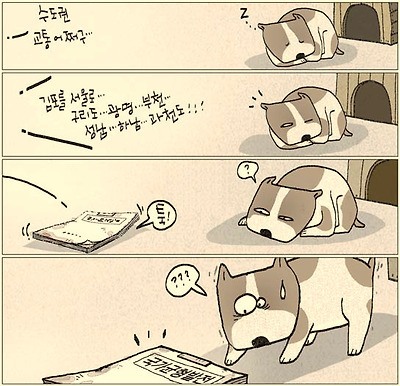 개나 줘버려