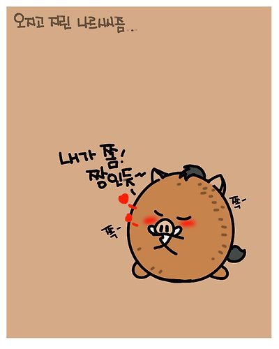 기자회견 나르시시즘