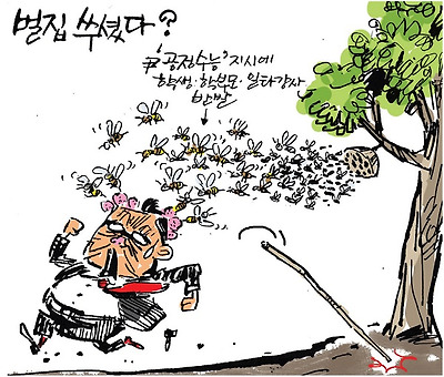 벌집 쑤셨다?