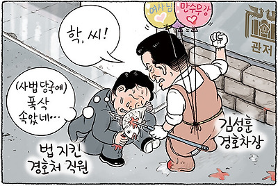 폭삭 속았수다