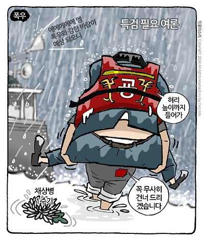 여론 홍수