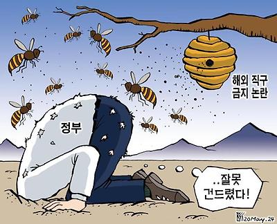 벌집