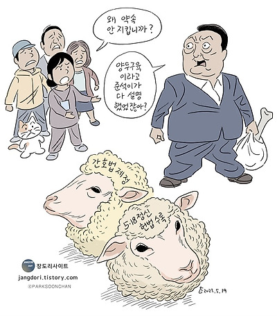 양머리 공약