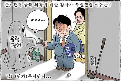 감사가 부실했던 이유