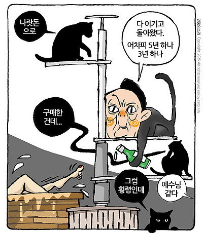 캣타워가 500만원