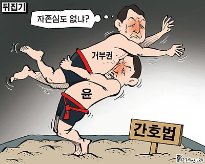 거부권 뒤집기