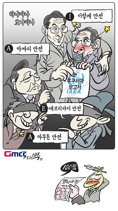 IAEA 보고서
