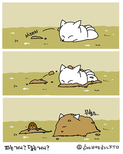 파는 거니? 덮는 거니?