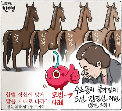 말 타기 모범사례