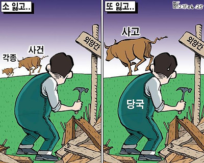 소 잃고 또 잃고