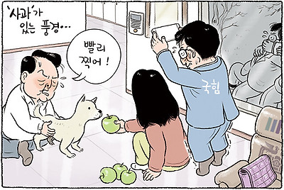 사과가 있는 풍경