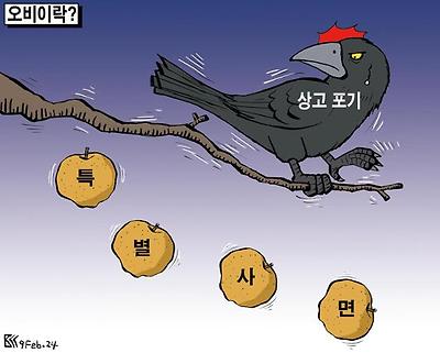 오비이락