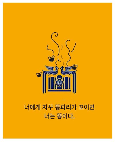 너는 똥