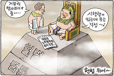 헌법 위에 시행령
