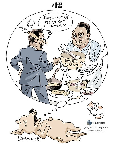 개꿈