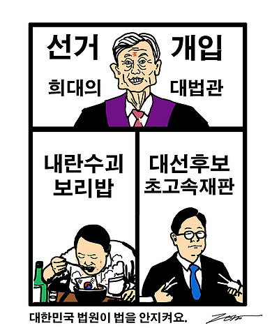 선거 개입