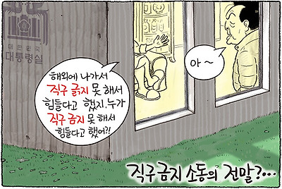 직구 금지 소동의 전말?
