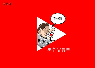 극우 유튜브에 갇히다