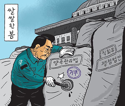 쌀쌀한 봄