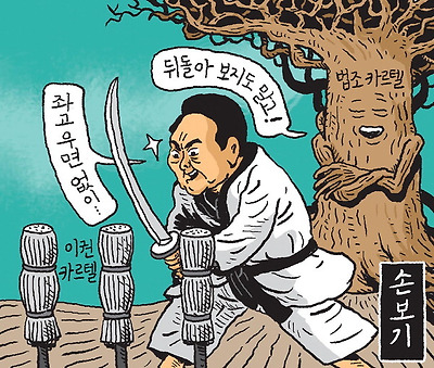 카르텔 손보기