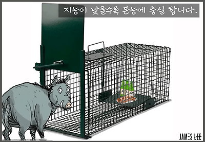 체포 꿀팁