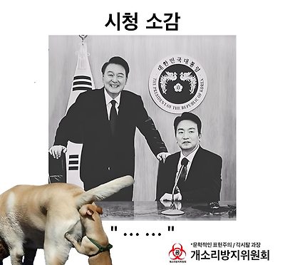시청 소감