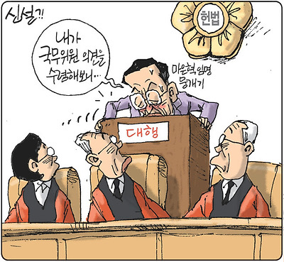 신설 헌법기관