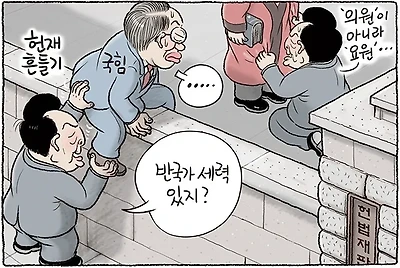 헌재 흔들기
