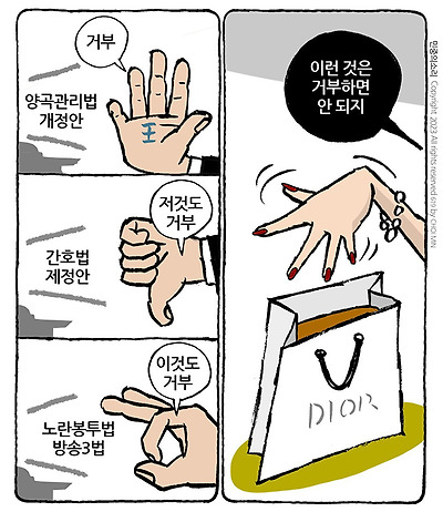 거부할 수 없는 디올