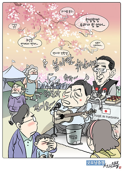 사쿠라 꽃이 '활짝' 피었습니다