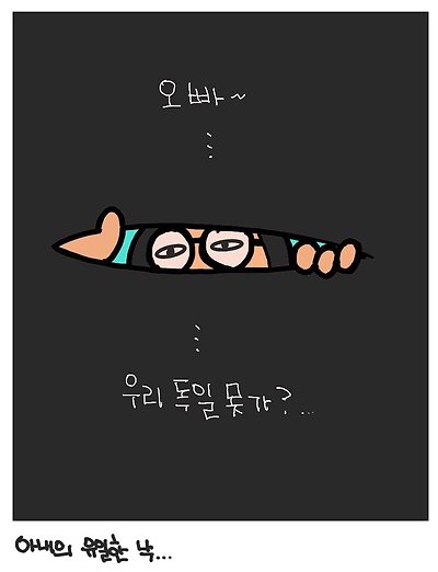 아내의 낙