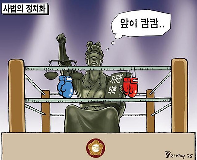 사법의 (자발적) 정치화