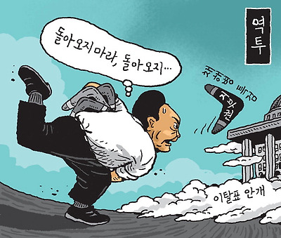 부메랑