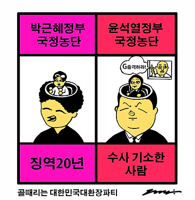 국정농단 비교체험