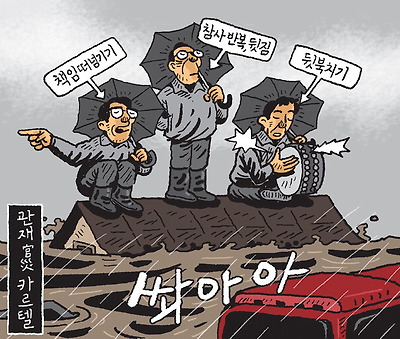관재(官災) 카르텔