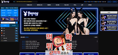 바니벳 먹튀사이트 확정