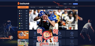 벳썸 먹튀 사이트 확정 먹튀검증 완료 먹튀검증소