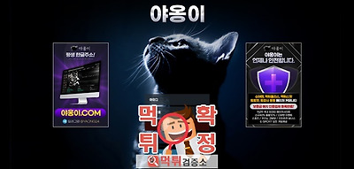 야옹이 먹튀사이트 확정