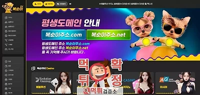 복순이 먹튀사이트 확정