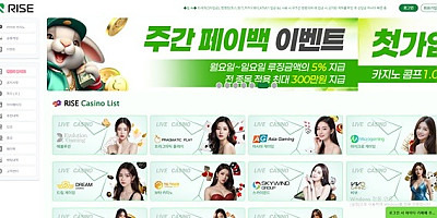 라이즈