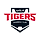 KIA 타이거즈 로고