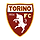토리노 로고