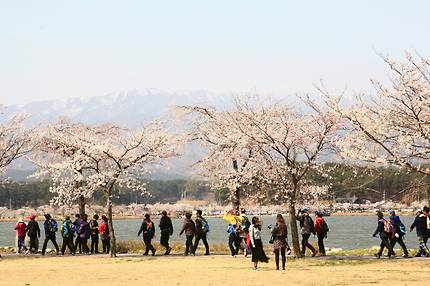 [사진설명=강릉 경포대를 지나면 페미니스트 허난설헌 생가를 만난다.]