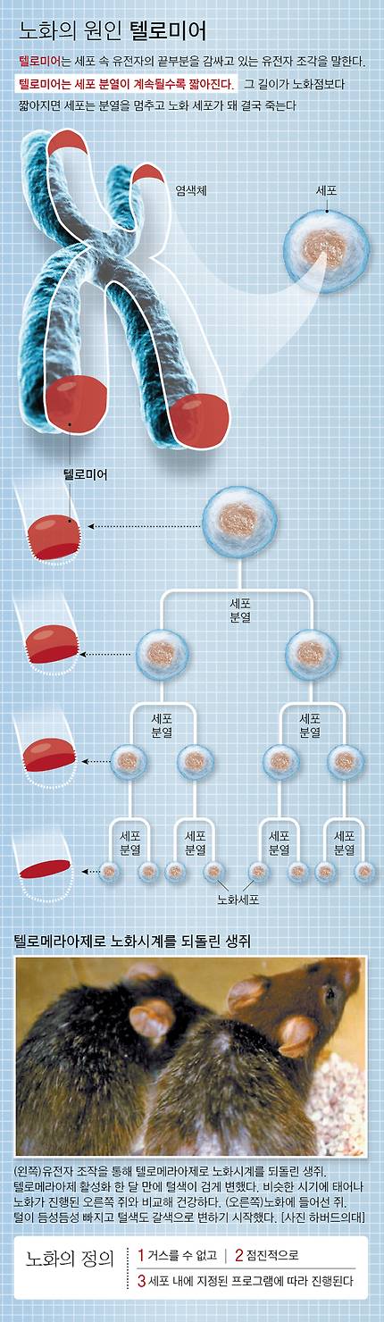 그래픽=차준홍 기자 cha.junhong@joongang.co.kr