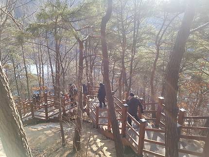 강원도 원주시 지정면 간현리 소금산 출렁다리를 건넌 뒤 산을 내려가는 관광객들. 박진호 기자